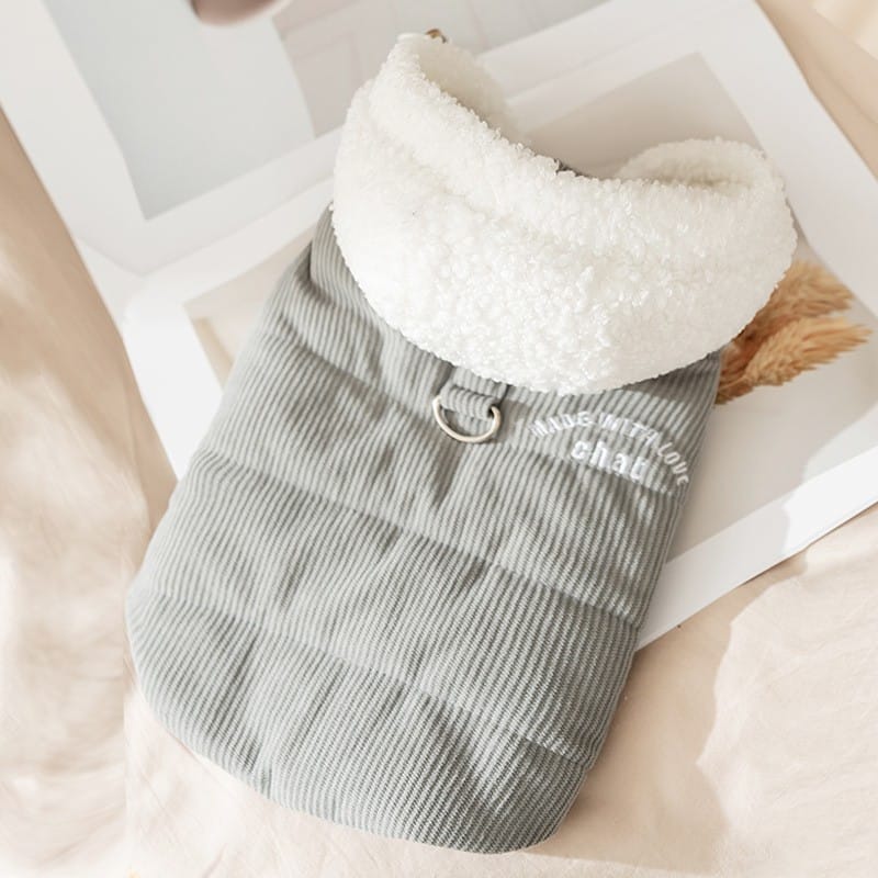 Ropa para mascota