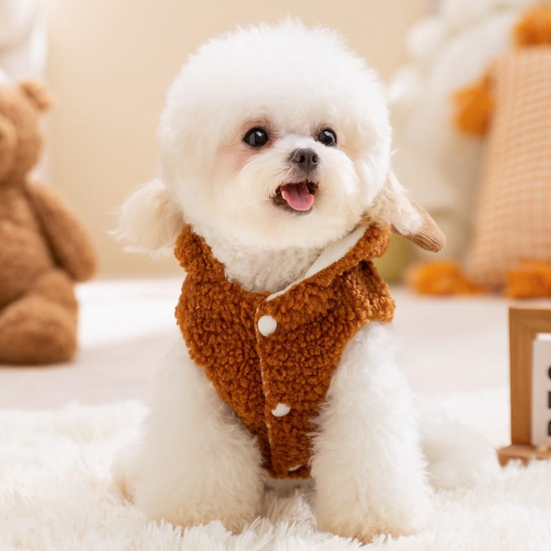 Ropa para mascota