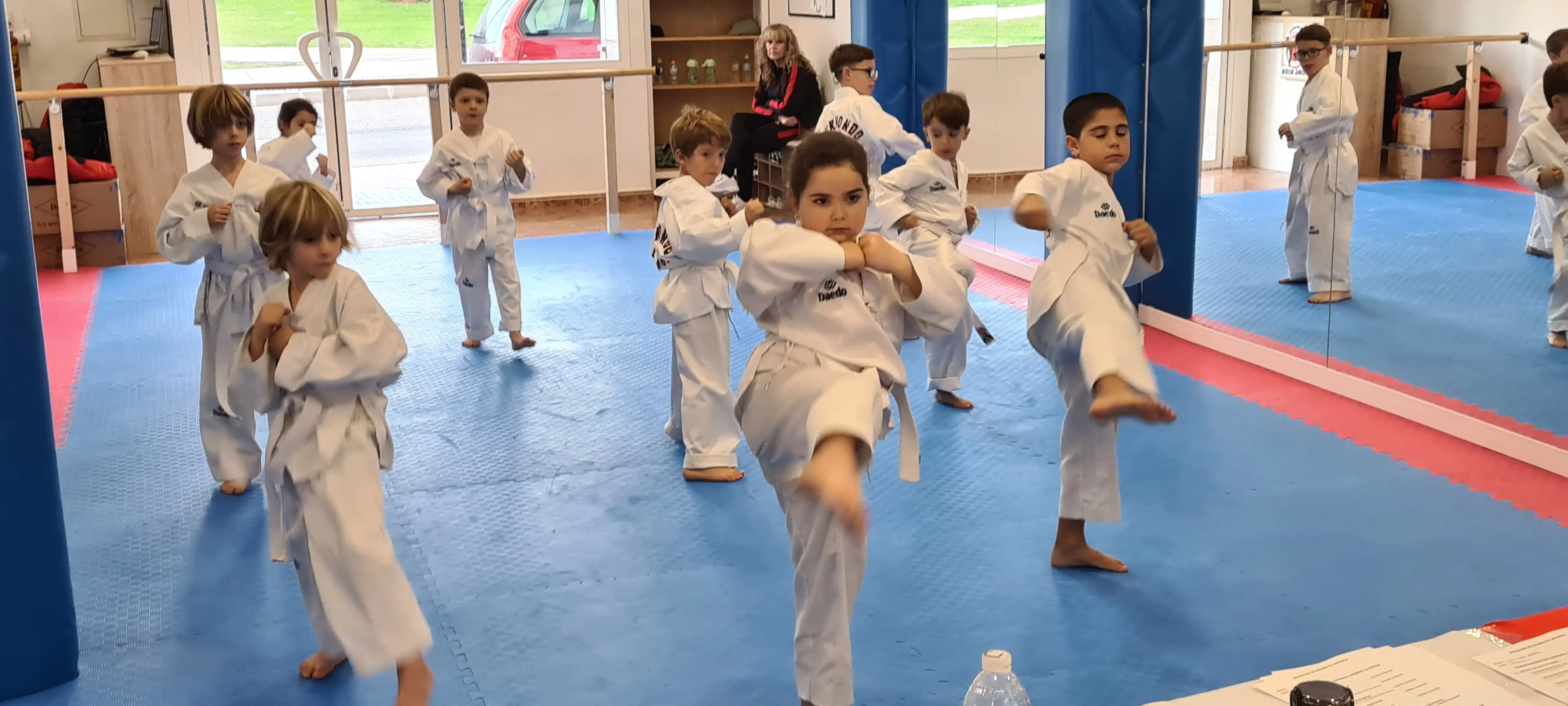 Galería de Exámenes de Cinturón en Alhaurín de la Torre: Resultados Taekwondo Gong Kiok - Item 5