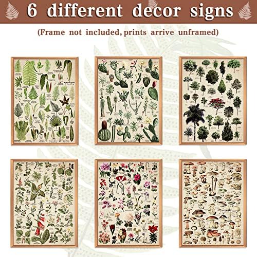 Vue 3 de Lot De Affiches Vegetales