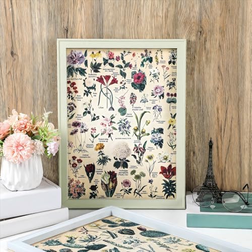 Vue 5 de Lot De Affiches Vegetales