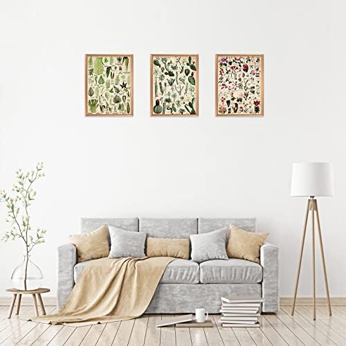 Vue 7 de Lot De Affiches Vegetales