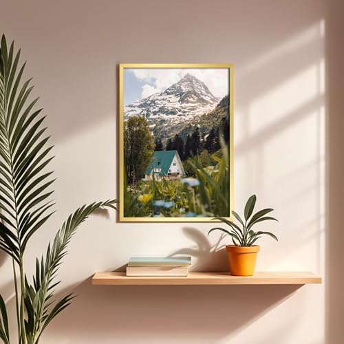 Vue 4 de Giftgarden Cadre Dore