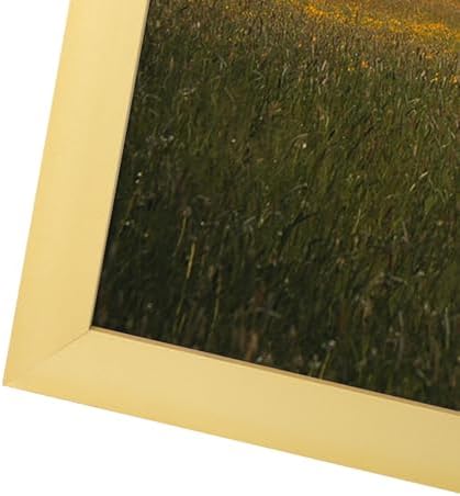 Vue 6 de Giftgarden Cadre Dore