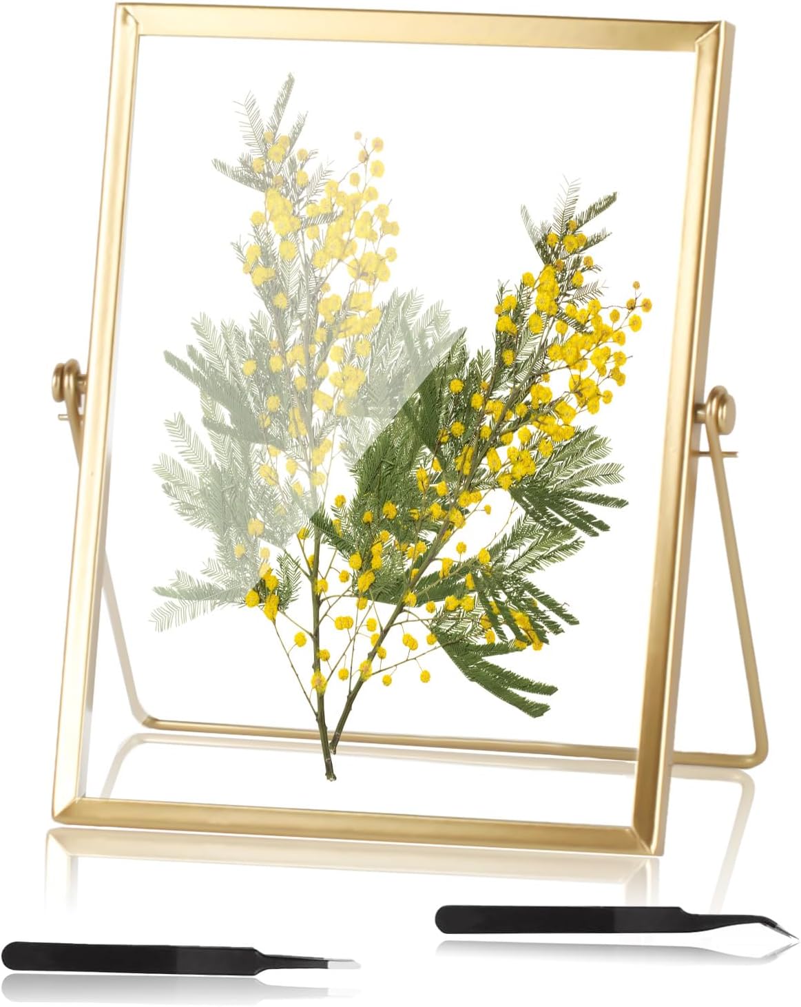 Cadre Transparent Xcm Cadre