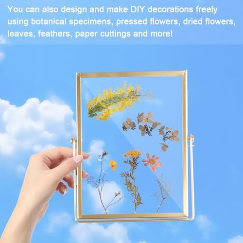 Vue 5 de Cadre Transparent Xcm Cadre