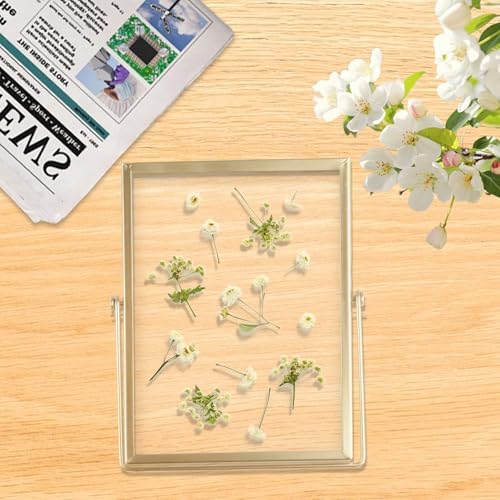 Vue 7 de Cadre Transparent Xcm Cadre