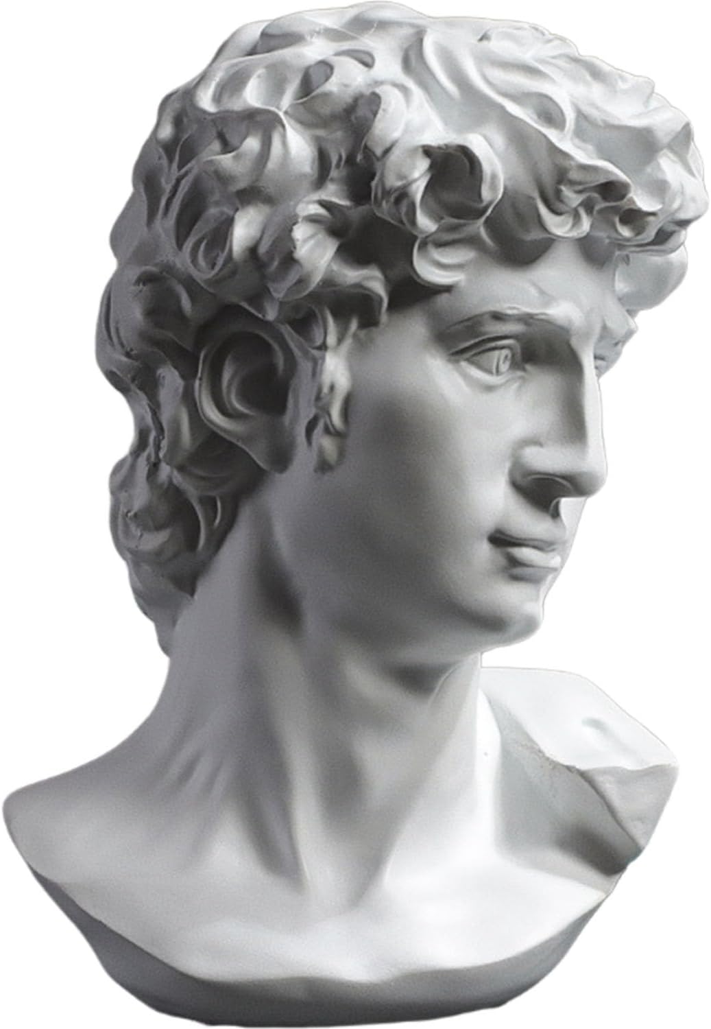 Buste De Davidstatues Decoratives