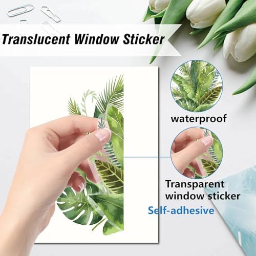 Vue 3 de Craspire Vert Feuilles Tropicales