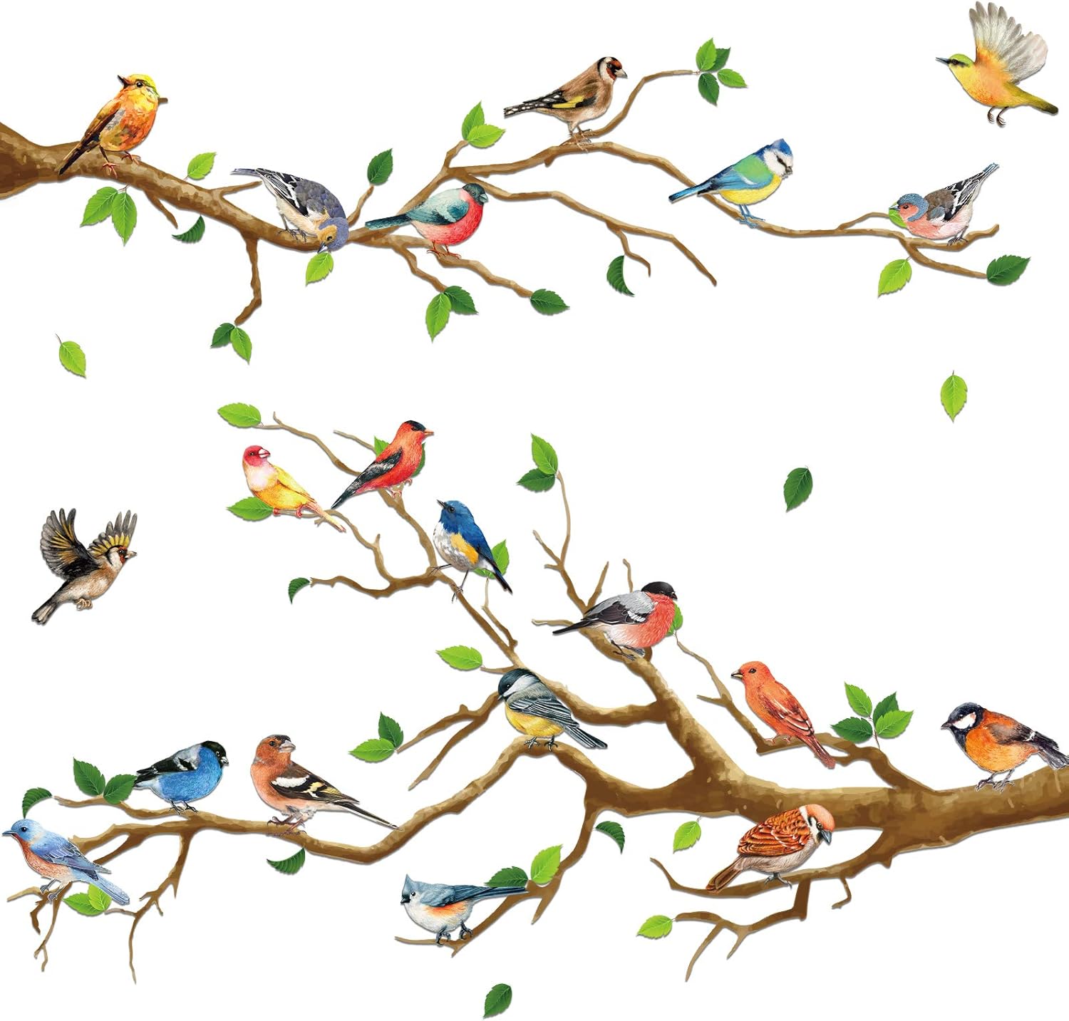 Pcs Stickers Muraux Oiseaux