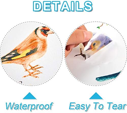 Vue 4 de Pcs Stickers Muraux Oiseaux