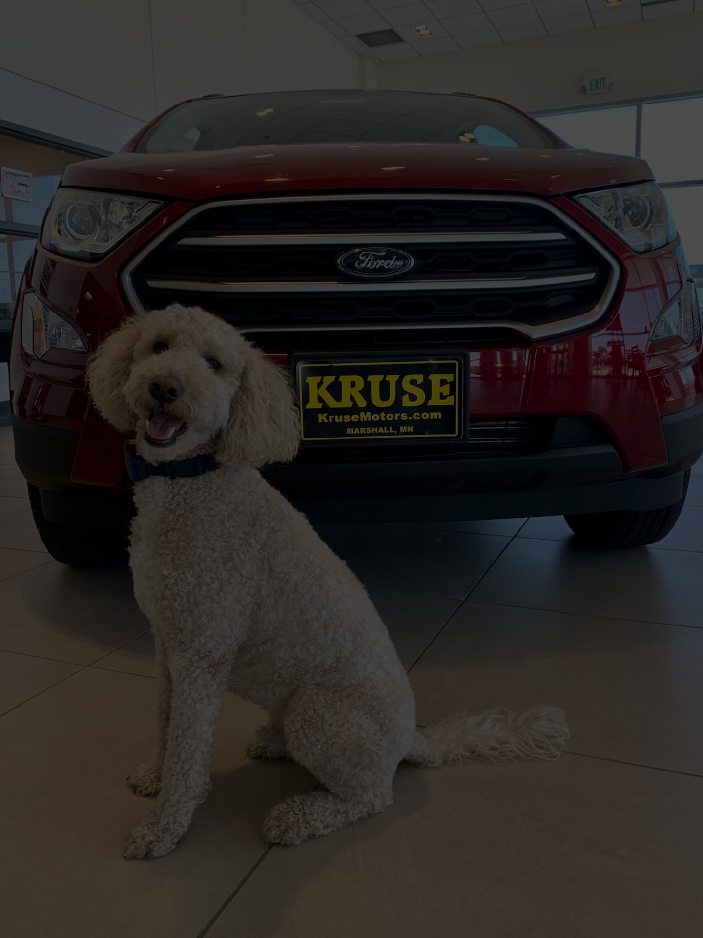 Ford Dealer Montevideo Kruse Motors