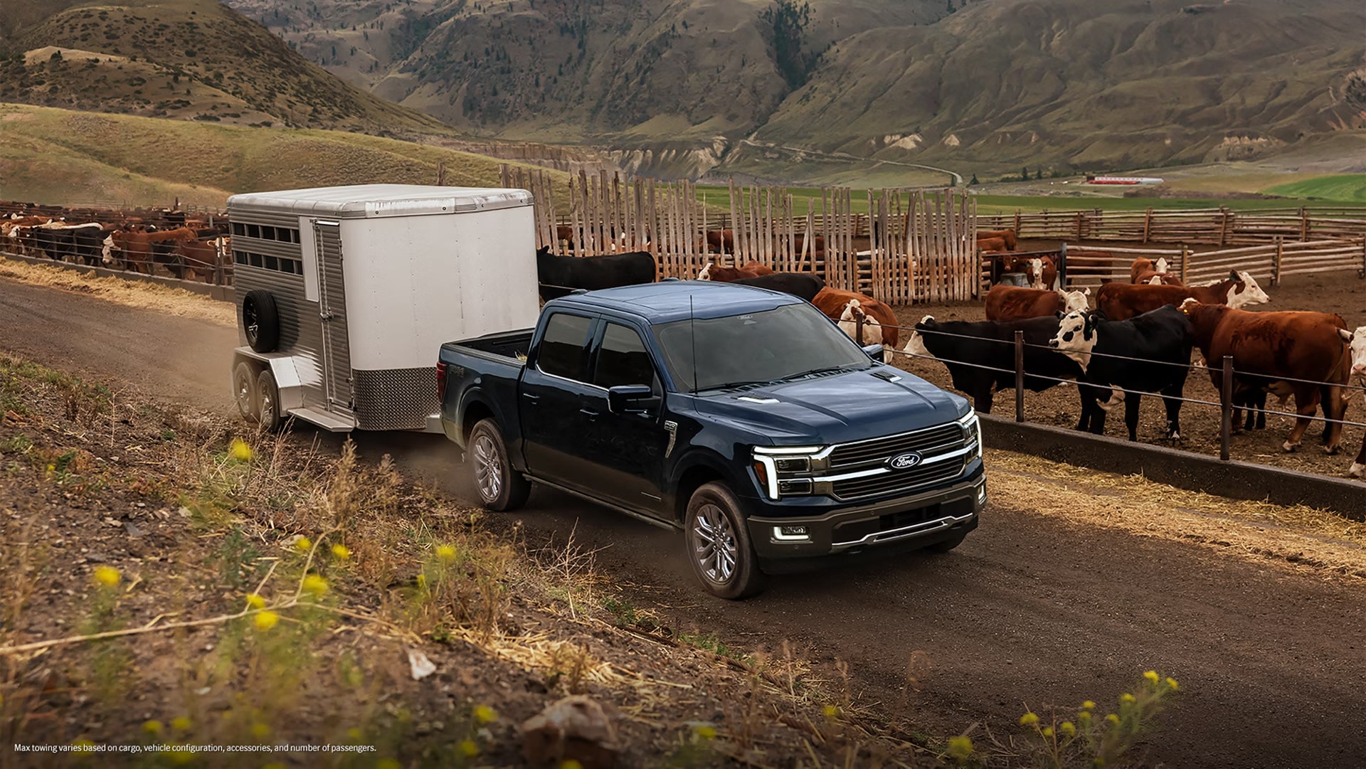 A dark blue pickup truck towing a white trailer on a dirt road next to a fenced pasture with cattle, rolling hills, and mountains in the background.