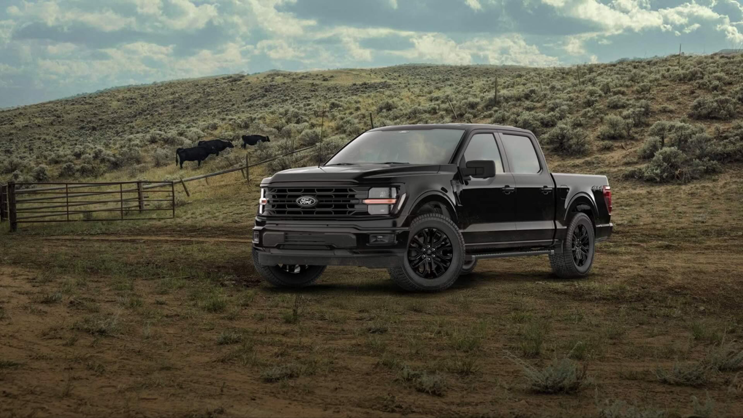A black pickup truck sits on a dirt path with a grassy hill and dark cattle in the background.