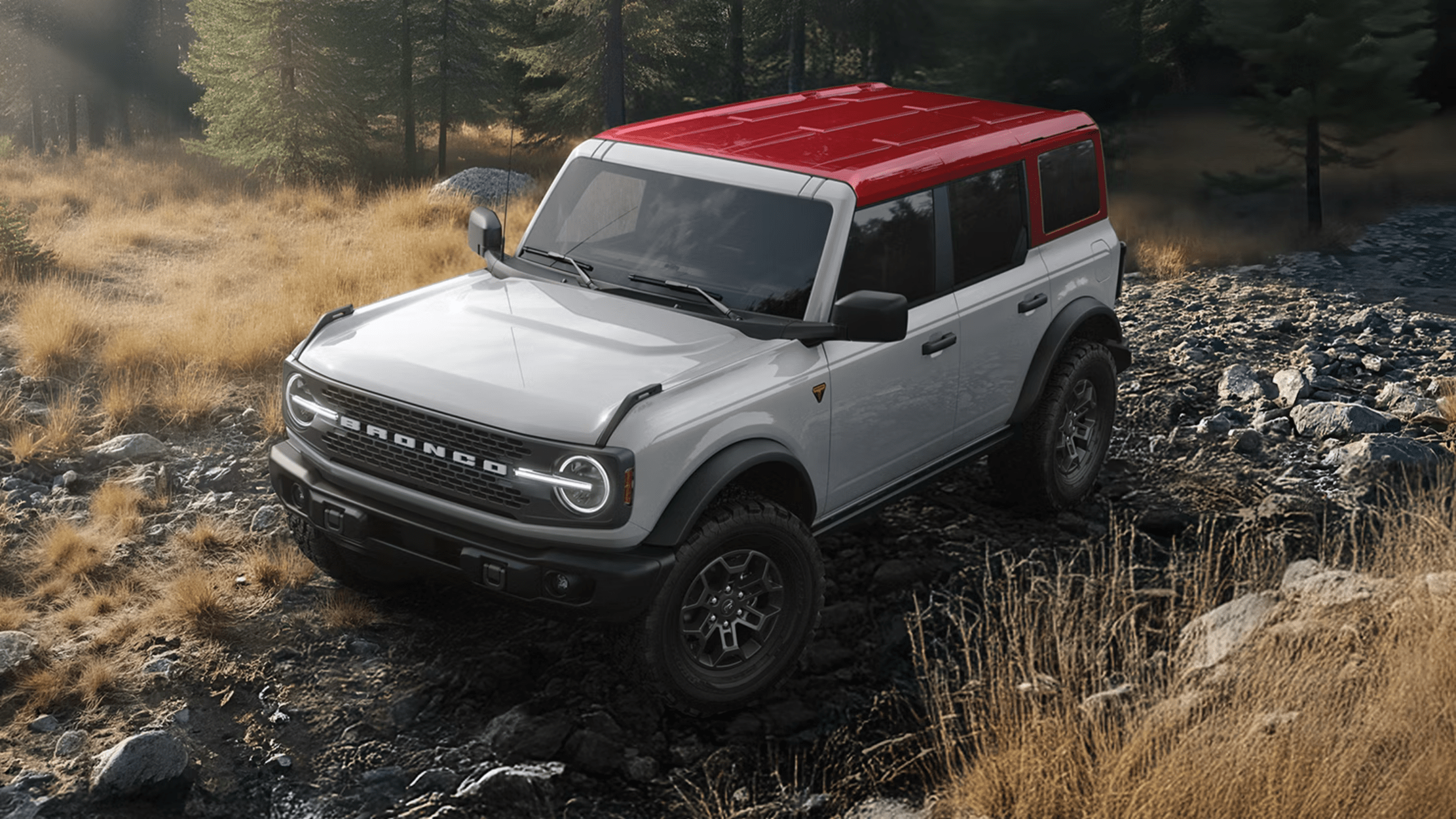 A white off-road SUV with a red roof sits on a rocky trail surrounded by dry grass and a dense forest.
