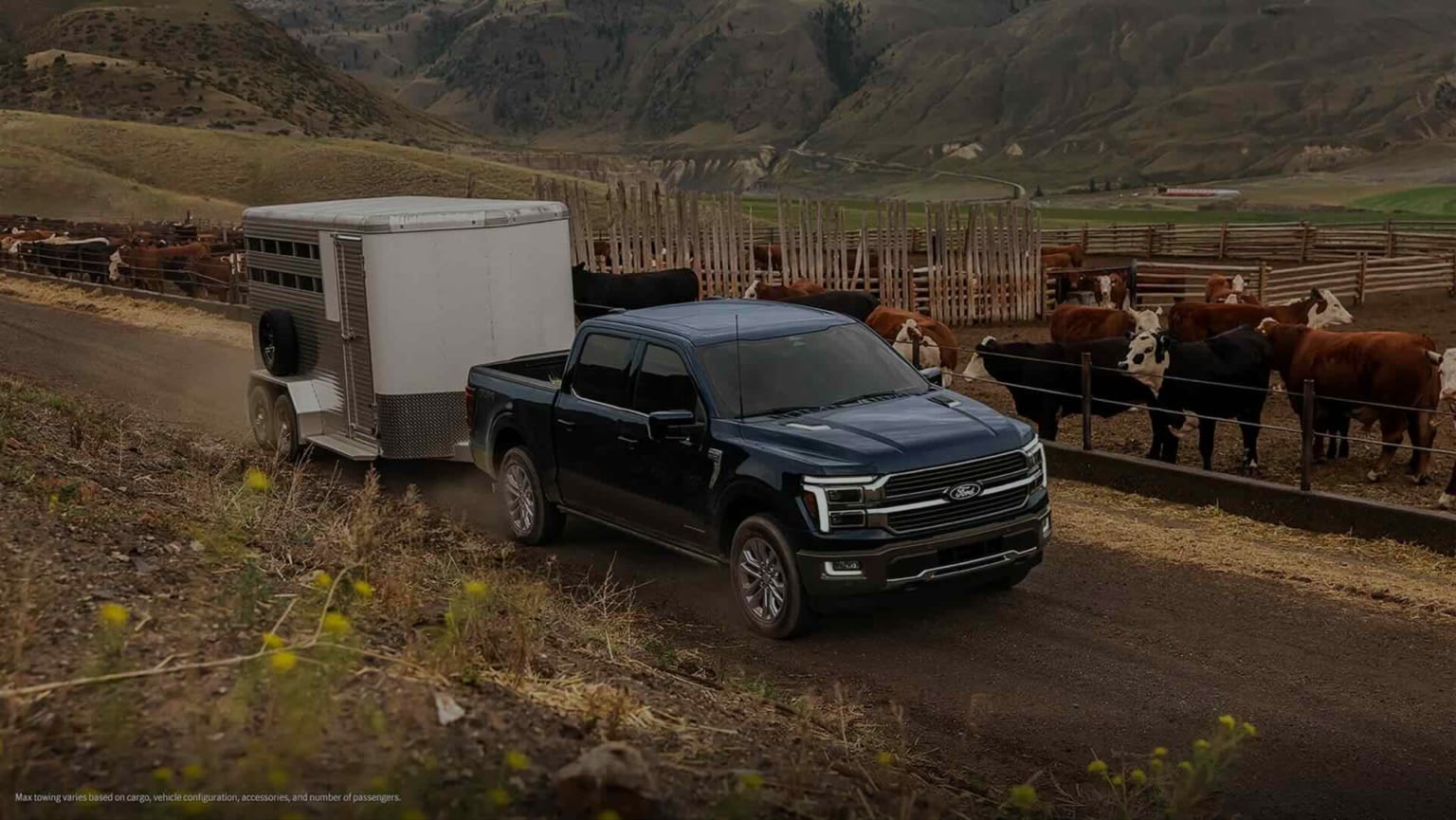 A dark blue pickup truck towing a trailer down a dirt road past a herd of cattle in a fenced pasture, with rolling hills and mountains in the distance.