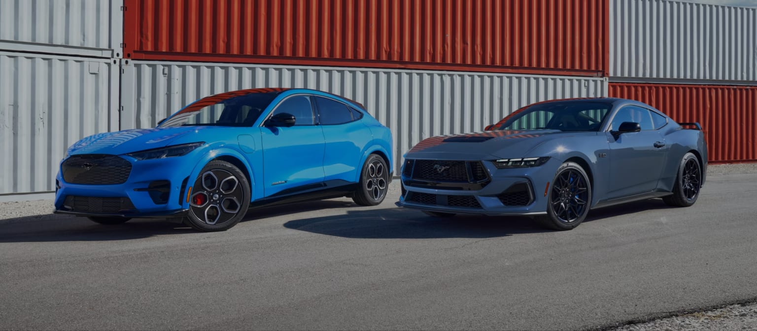 Which Trim Fits You?