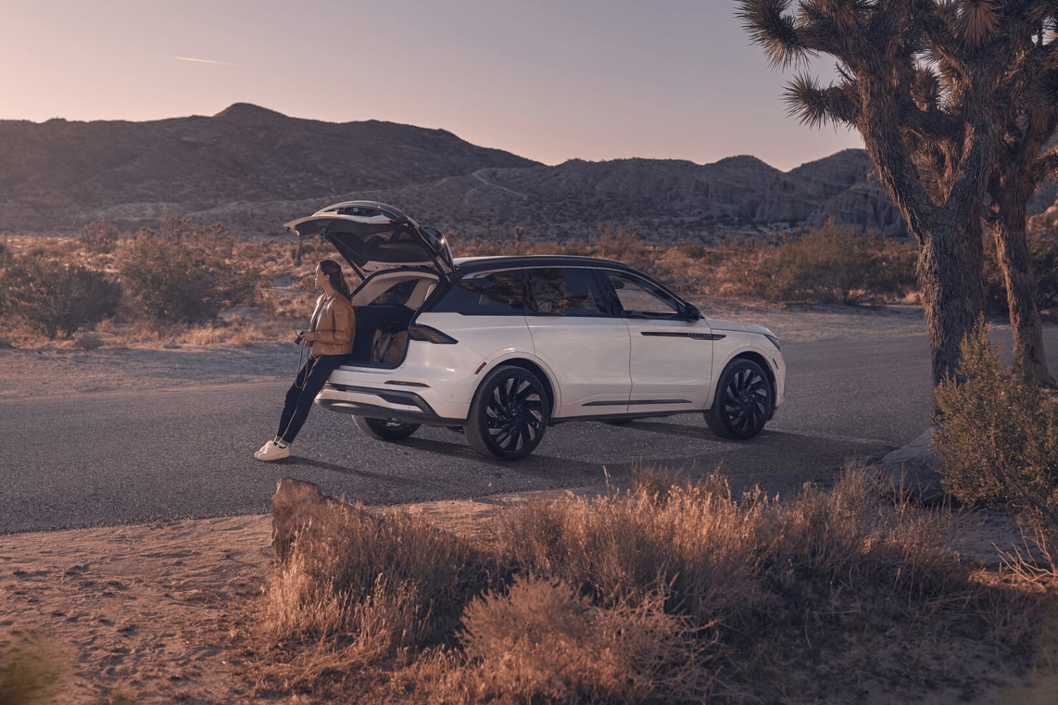The image shows a white SUV parked in a desert landscape, with mountains and Joshua trees visible in the background against a warm, hazy sky.