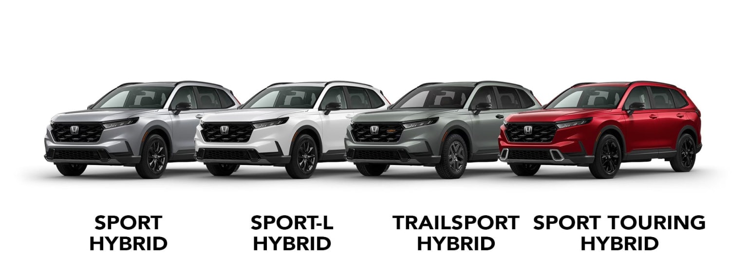 Four hybrid SUV models in different trims displayed in a row against a white background.