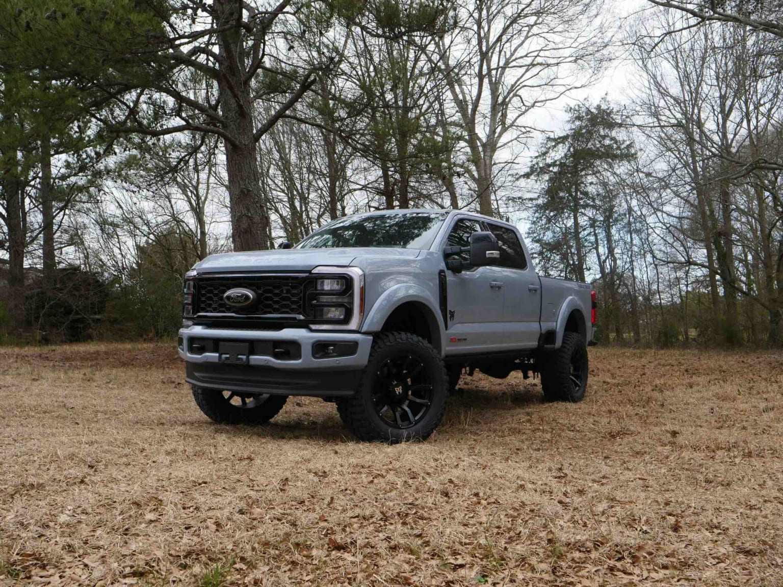A silver pickup truck with black rims on dry grass with bare trees under a cloudy sky.