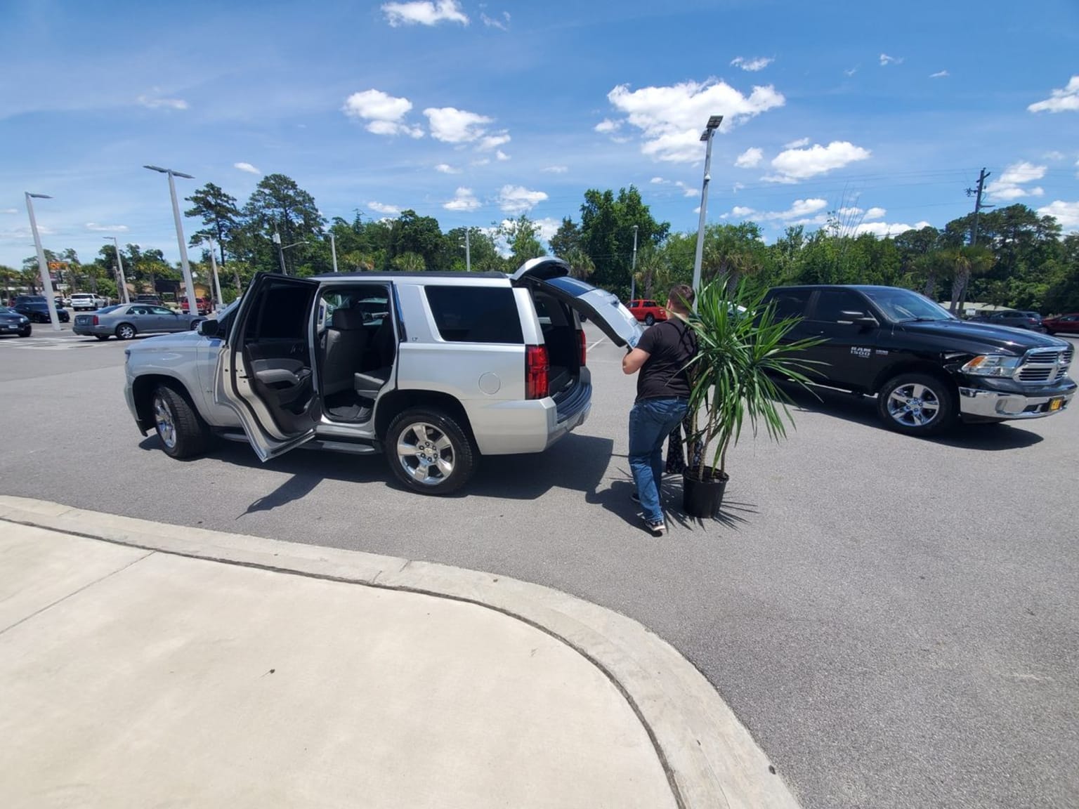 a man putting a plant in the back of a silver truck in a parking lot next to other cars