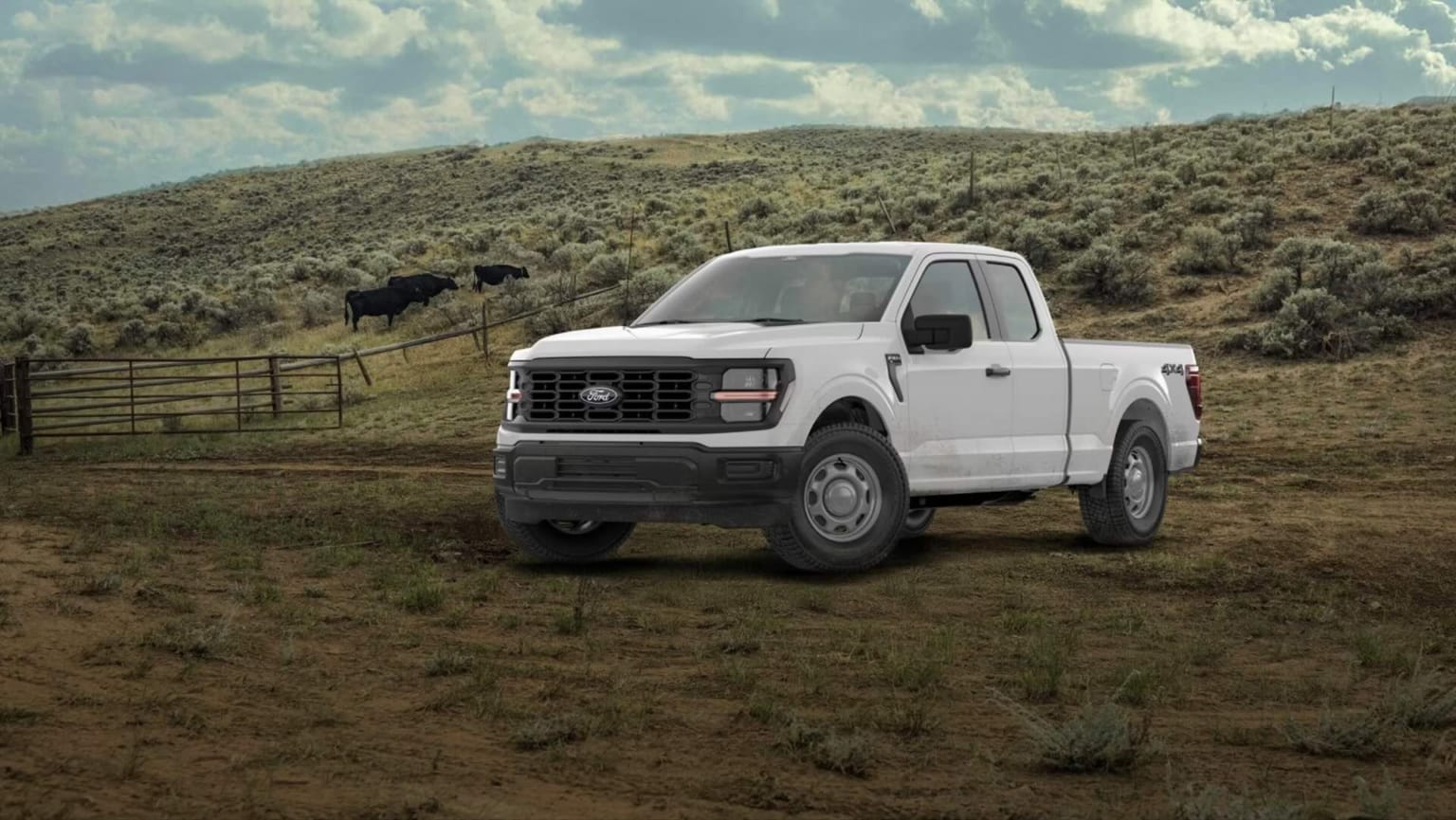 A white pickup truck is parked in a grassy field with cattle grazing on a distant hillside under a cloudy sky.