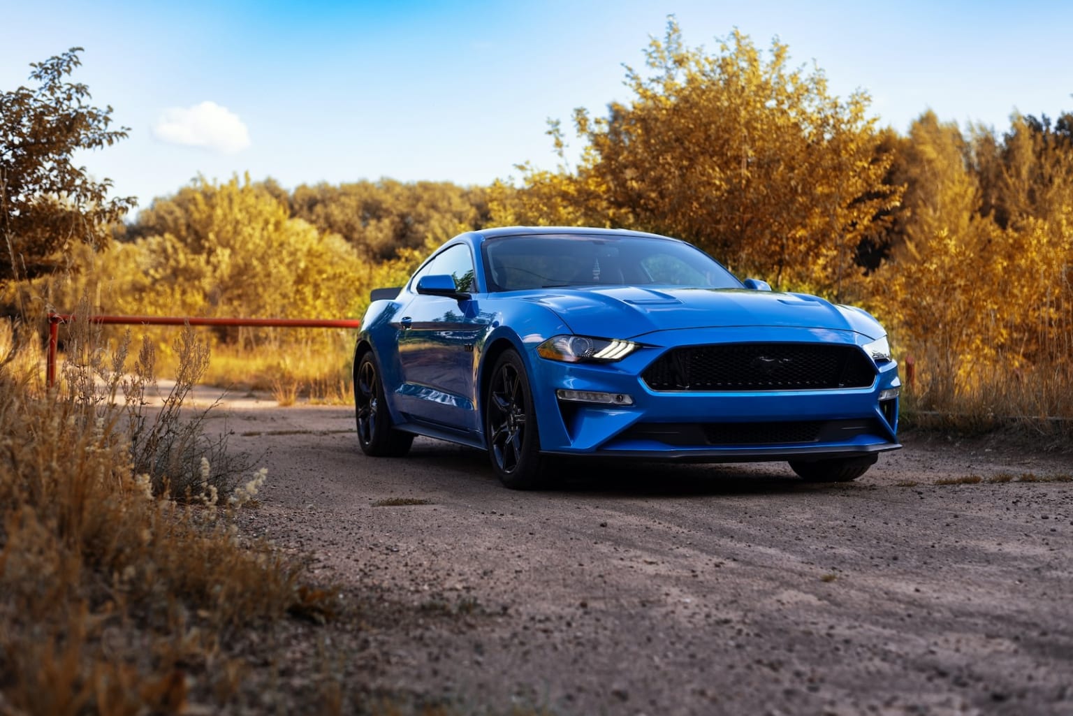 a blue mustang parked on a dirt road in the middle of a field with tall grass and trees in the background