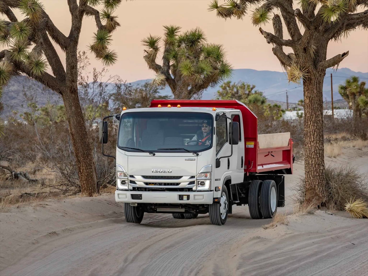 A white dump truck with a red bed driving on a sandy road with Joshua trees and mountains in the background.