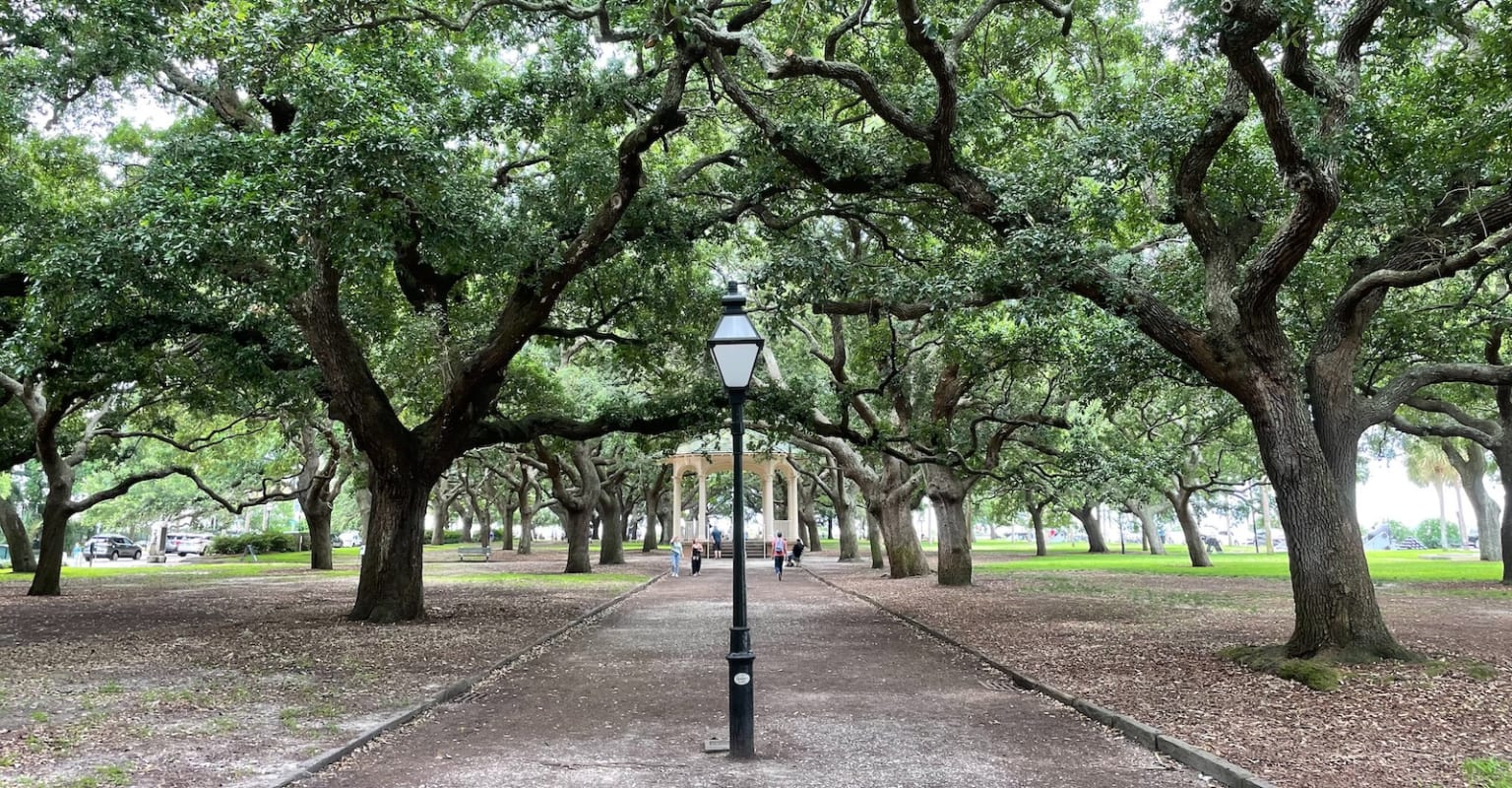 a park with a lot of trees and a street light in the middle of the park with people walking on the path