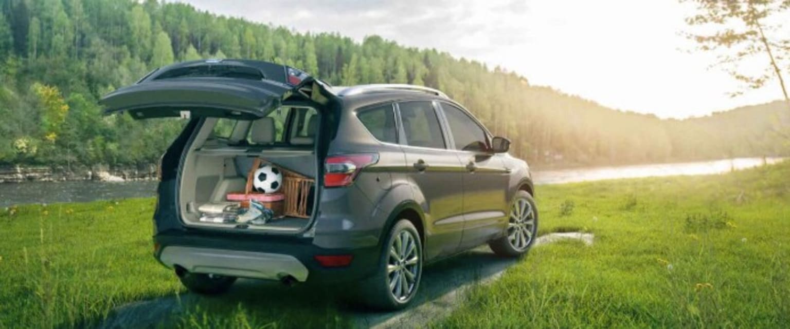 the back of a gray car with its trunk open and a dog in a dog house in the trunk