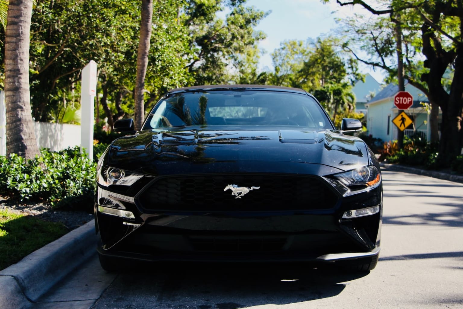 a black mustang parked on the side of the road in front of a stop sign and palm trees in front of a house