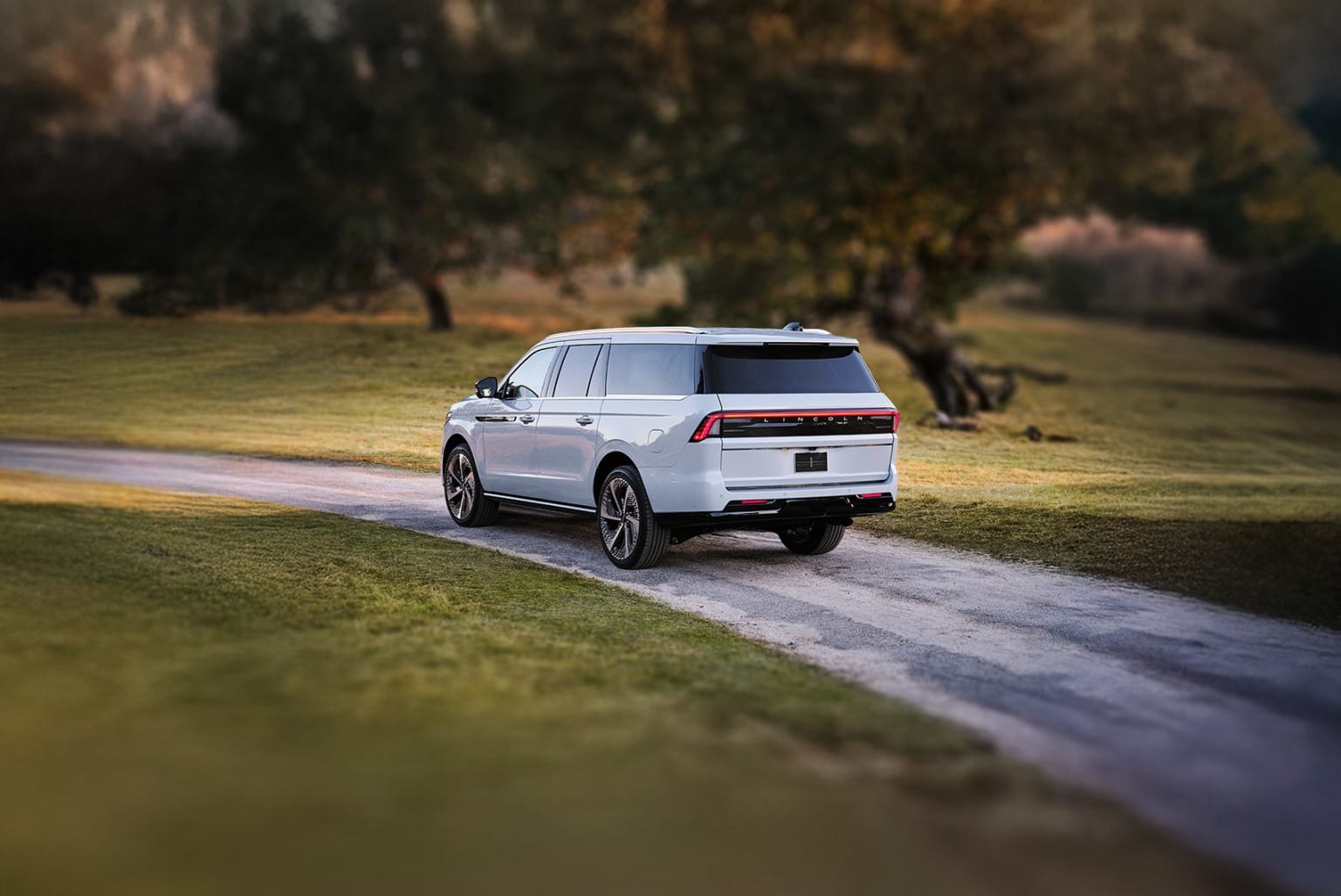 SUV parked on a dirt road surrounded by greenery and trees.