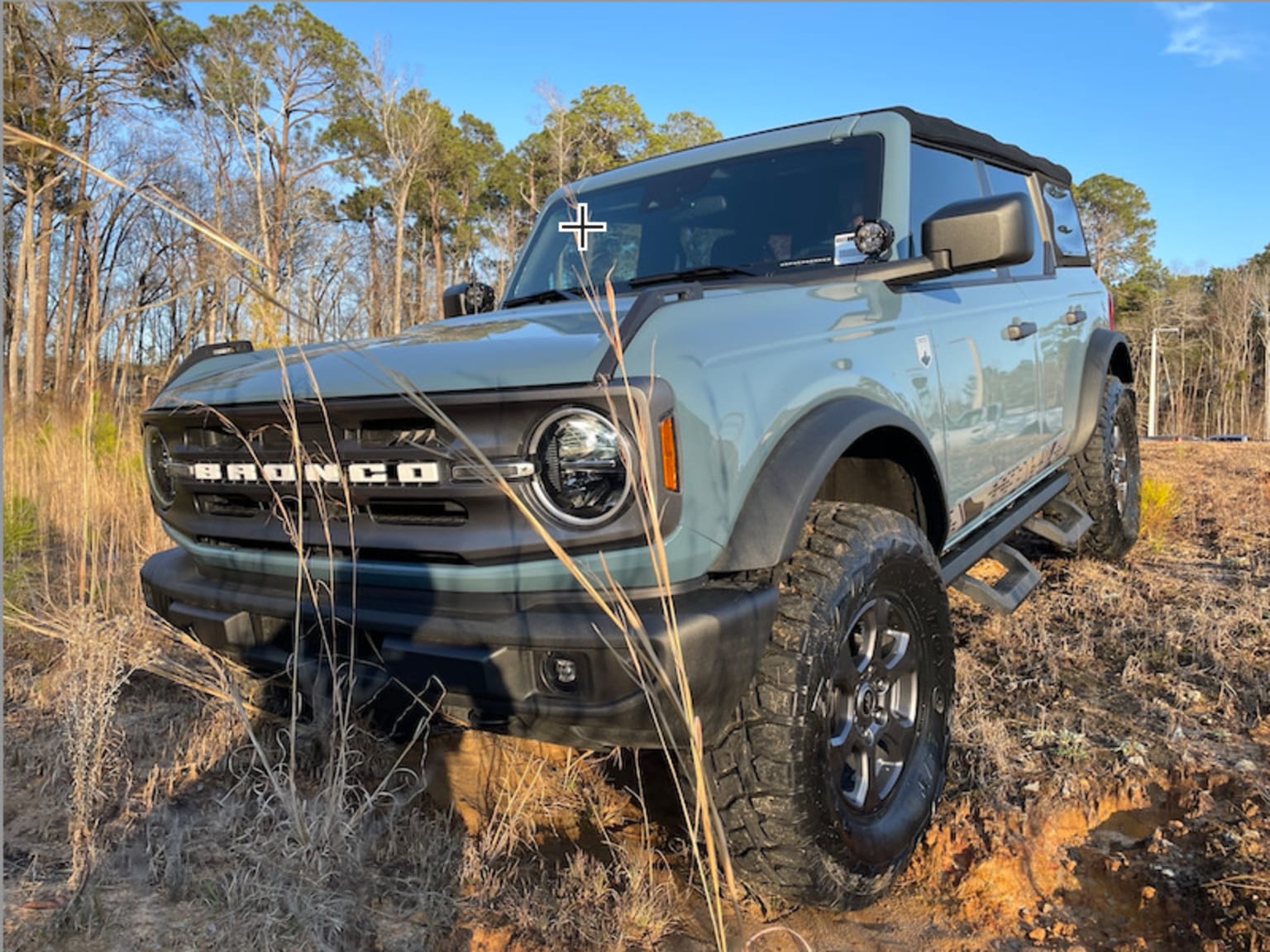 Bronco in the Wild 