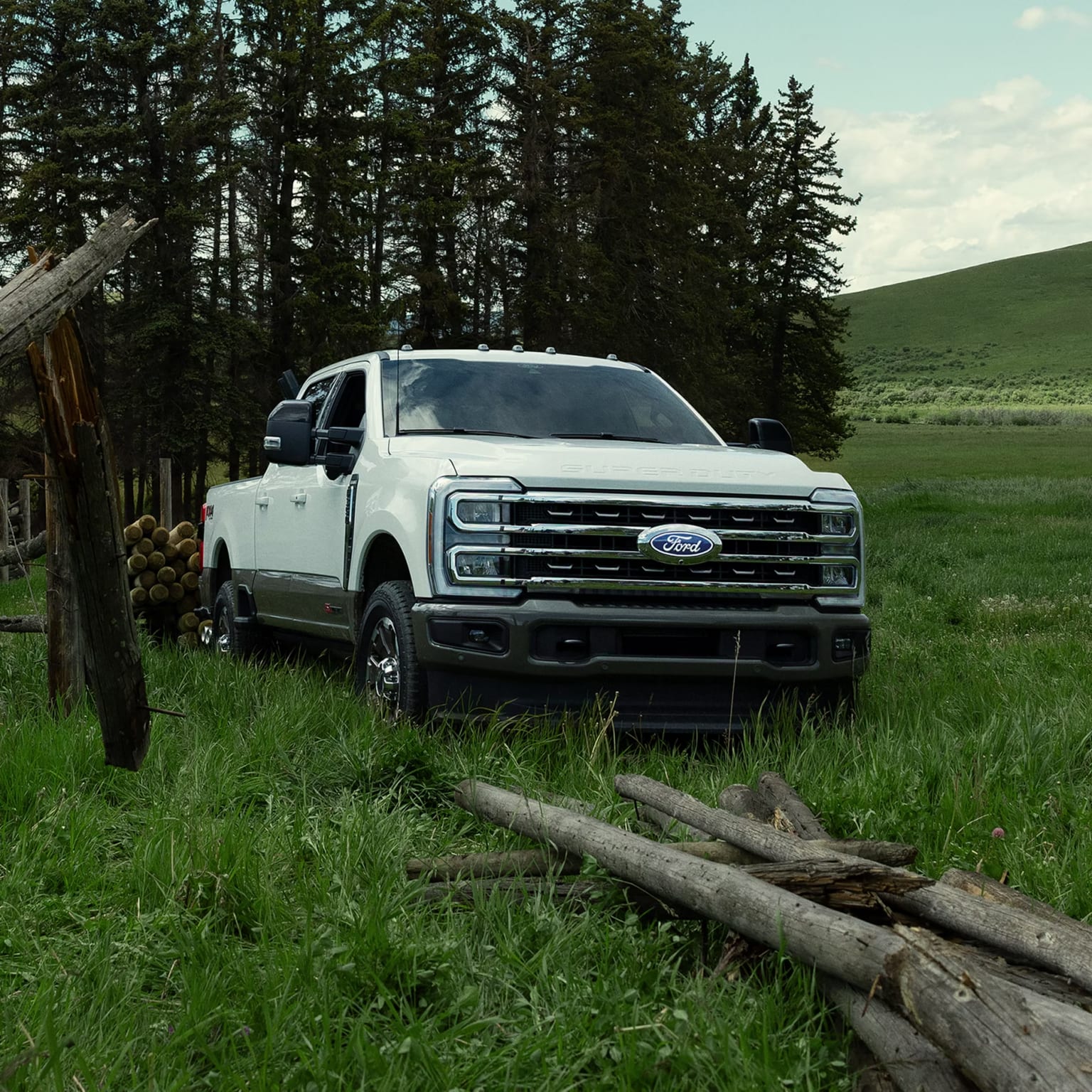 A white pickup truck parked in a field with logs and a forest in the background.