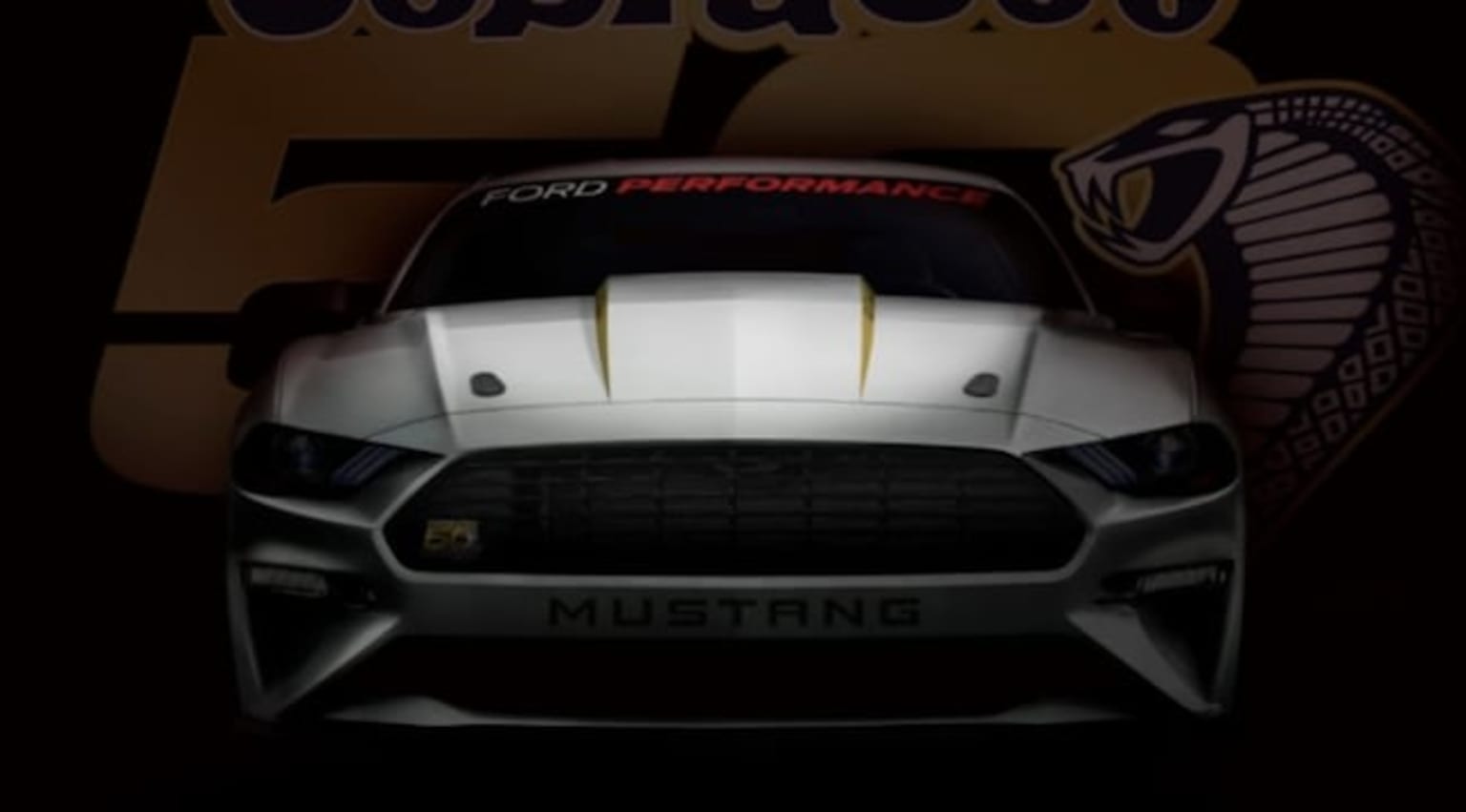 a white mustang mustang mustang mustang mustang mustang mustang mustang mustang mustang mustang mustang mustang mustang mustang mustang mustang mustang mustang mustang mustang mustang mustang mustang mustang mustang mustang