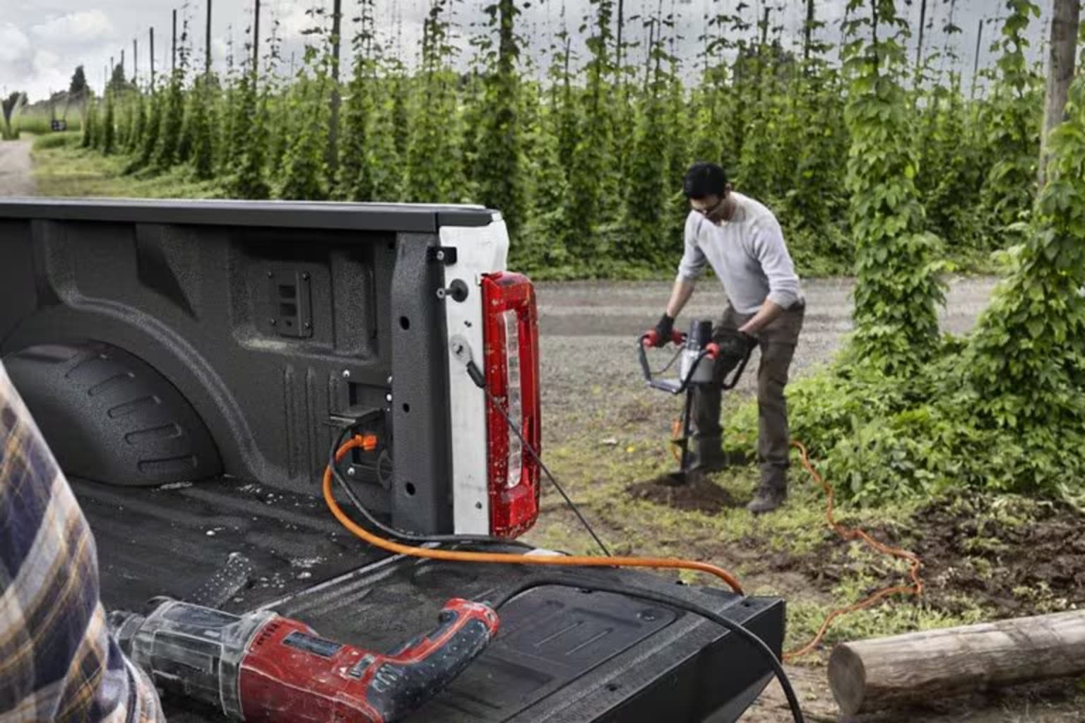 A person working on a pickup truck in a field surrounded by tall green plants.