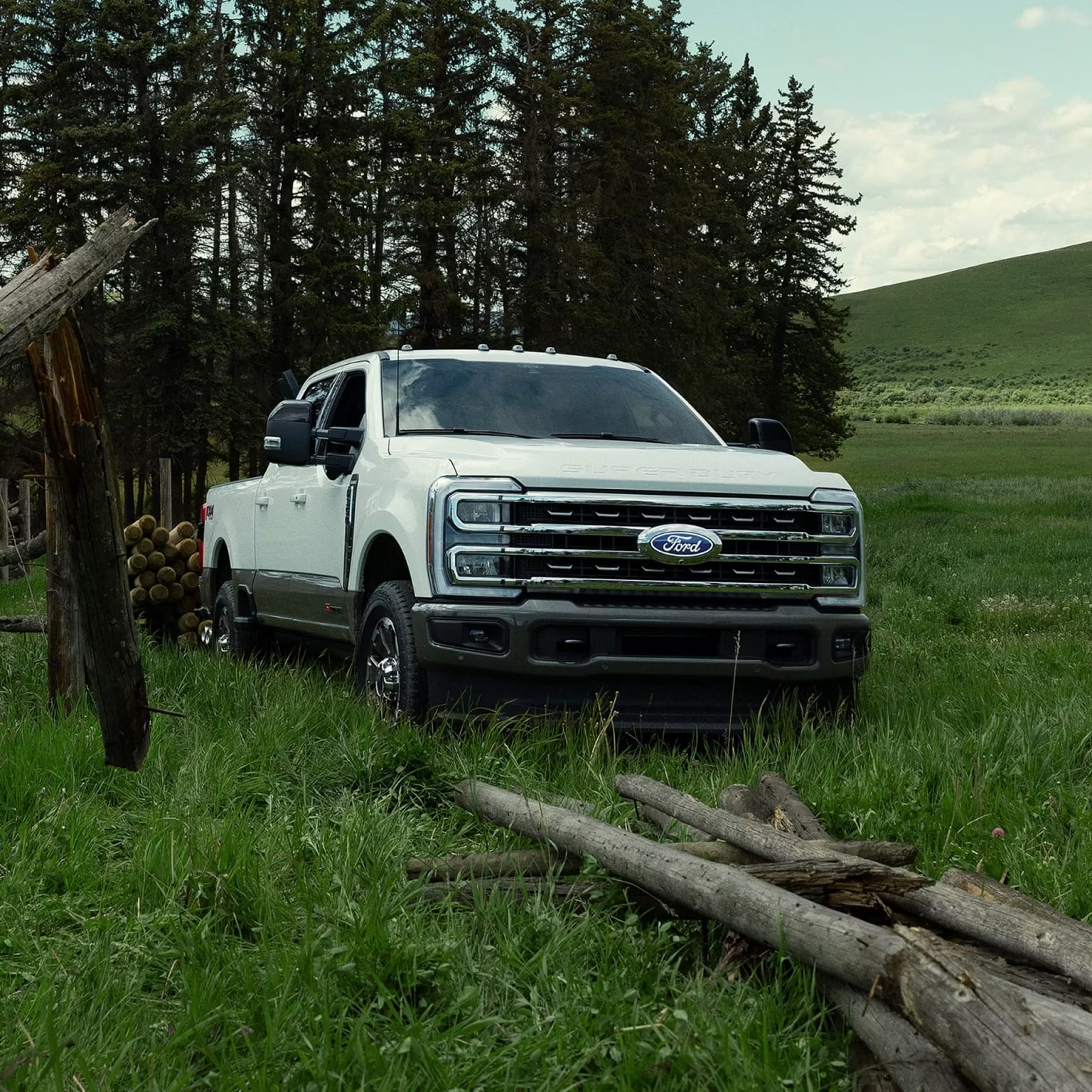 A white pickup truck sits in a grassy field with logs in the foreground and a dense forest and rolling hill in the background.