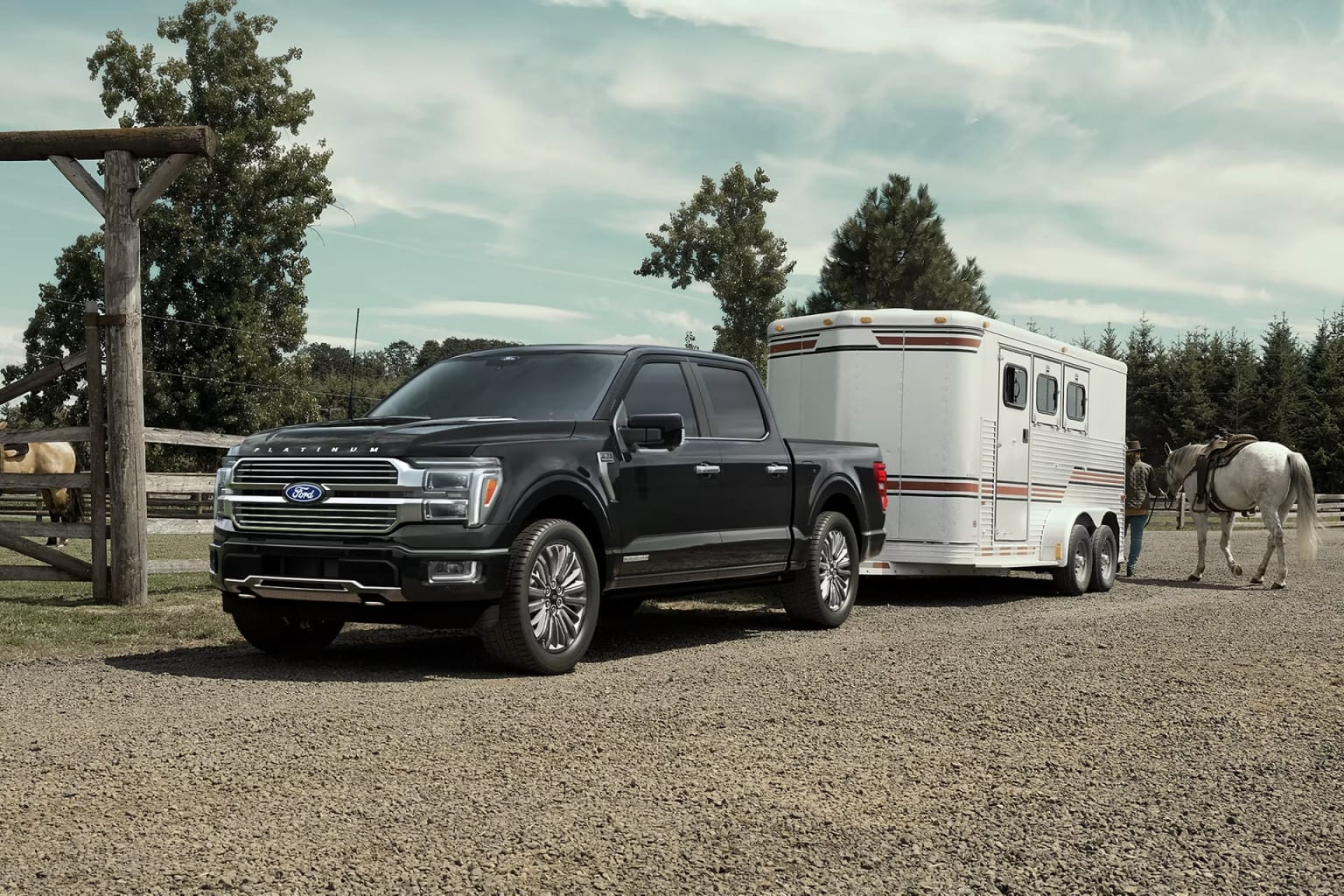 A black pickup truck with a horse trailer attached parked in a grassy field with tall pine trees and a cloudy sky in the background.