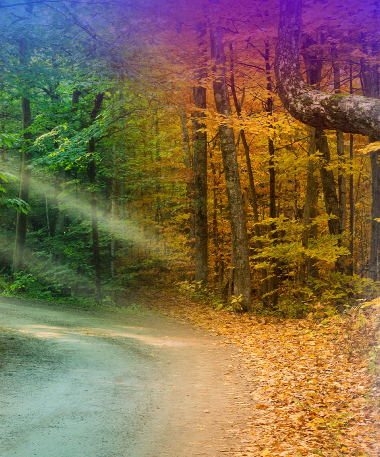 Seasonal Car Care Maintenance