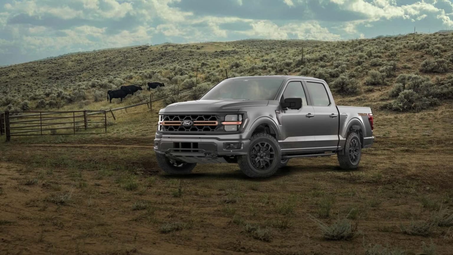 A gray pickup truck in a grassy field with cattle grazing on a distant hill under a cloudy sky.