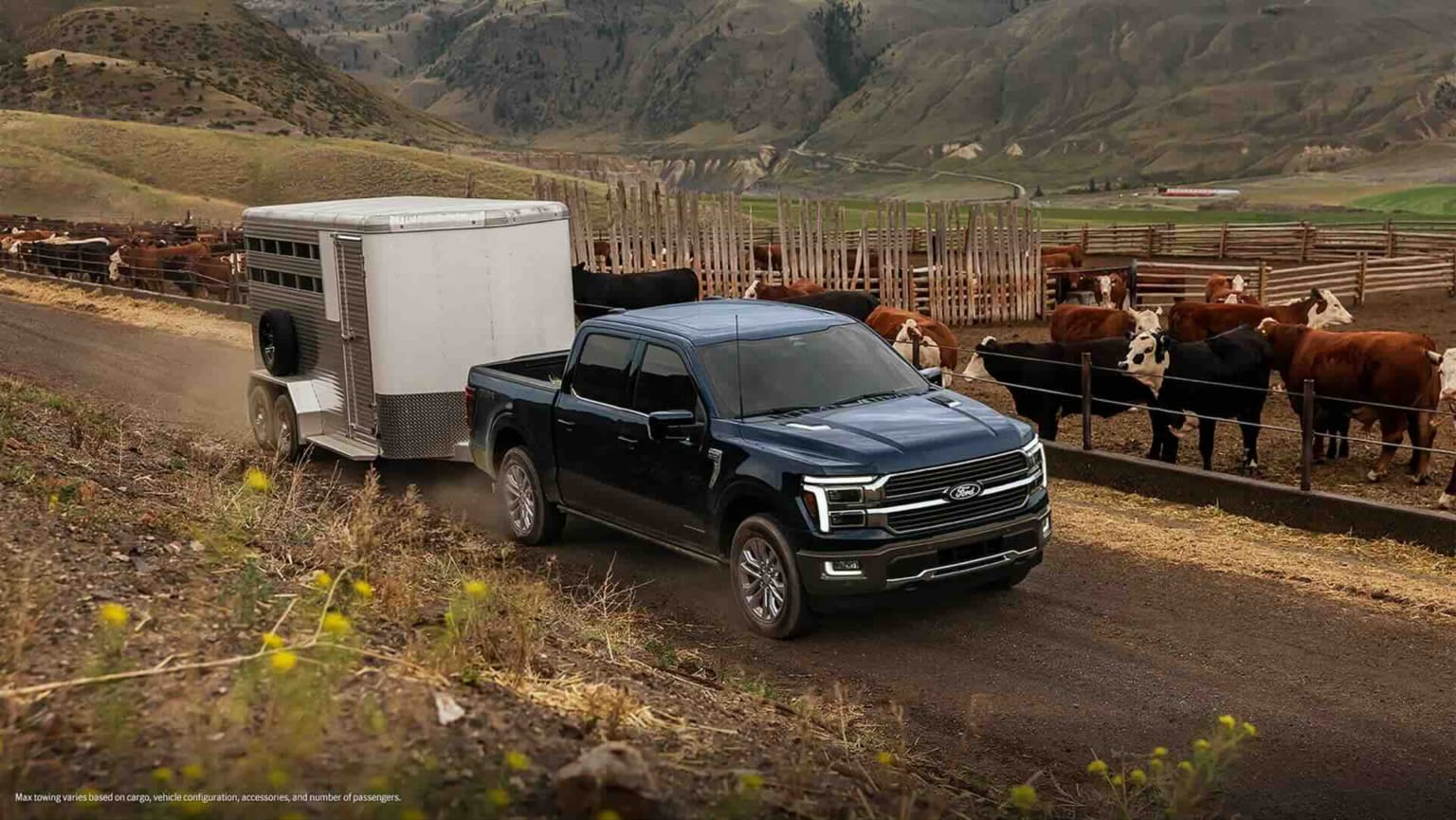 A dark blue pickup truck towing a trailer down a dirt road past a herd of cattle in a fenced pasture, with rolling hills and mountains in the distance.