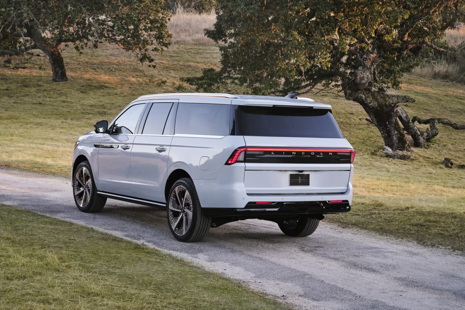 White SUV parked on a dirt road with trees and grassy field in the background