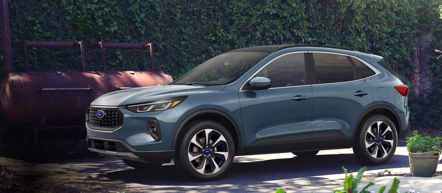 Silver-colored SUV parked in front of lush, green foliage