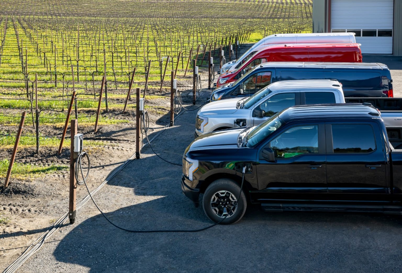a row of trucks parked next to each other in a parking lot next to a row of grape vines