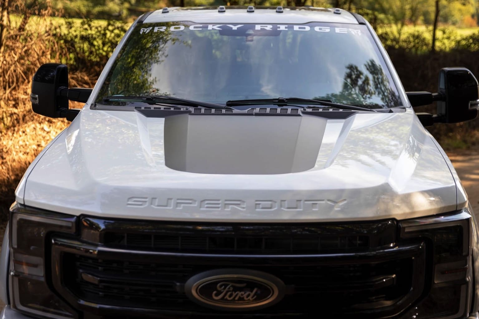 A white truck with customized features, set against a backdrop of a grassy, wooded area.