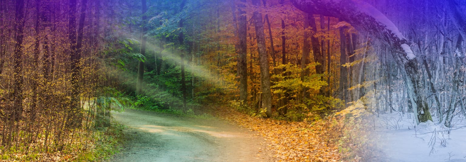 Seasonal Car Care Maintenance