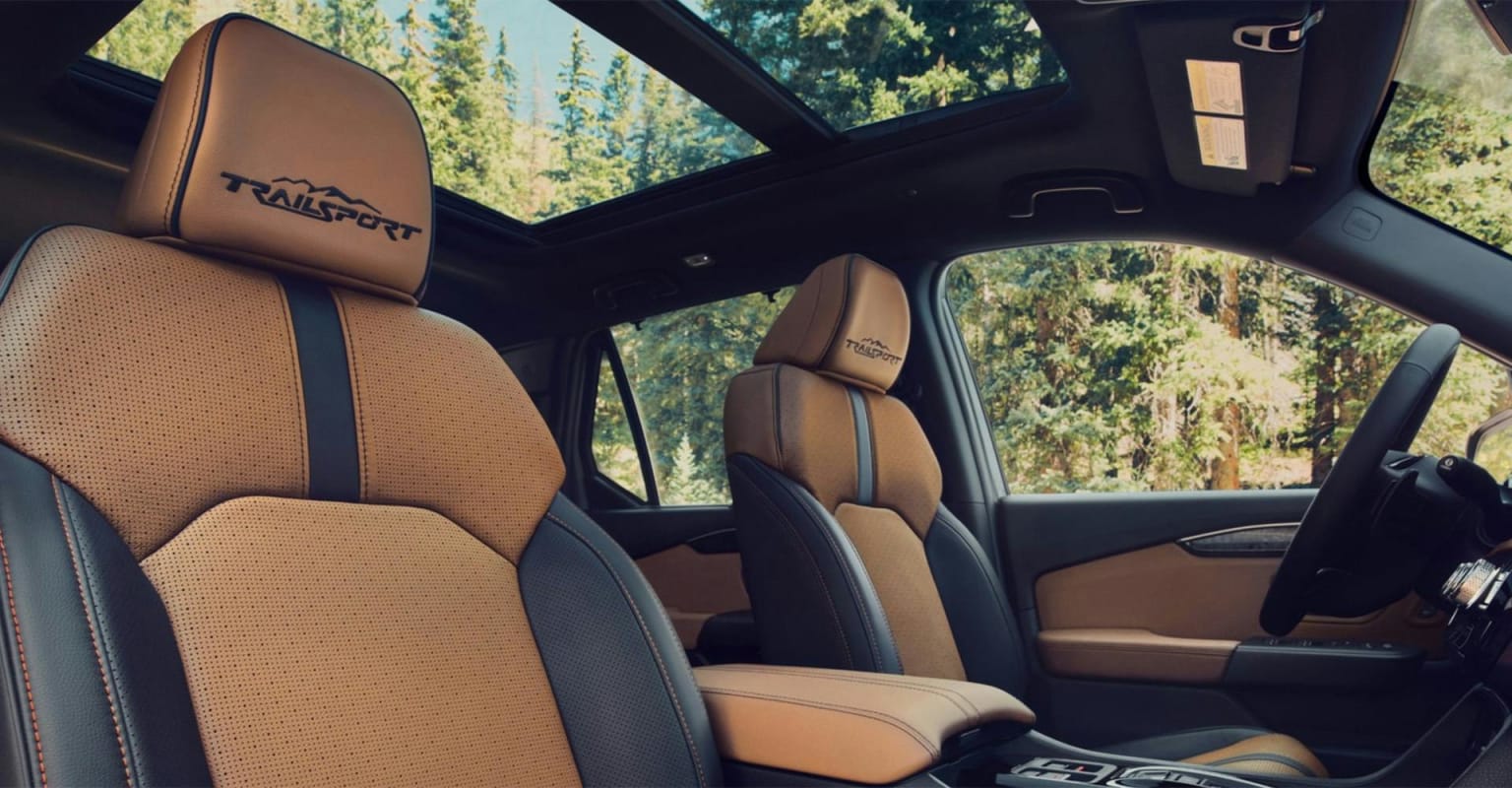 Perforated tan and black leather seats with embroidered detailing in the foreground, showcasing a panoramic view of a lush green forest and blue sky through the sunroof.