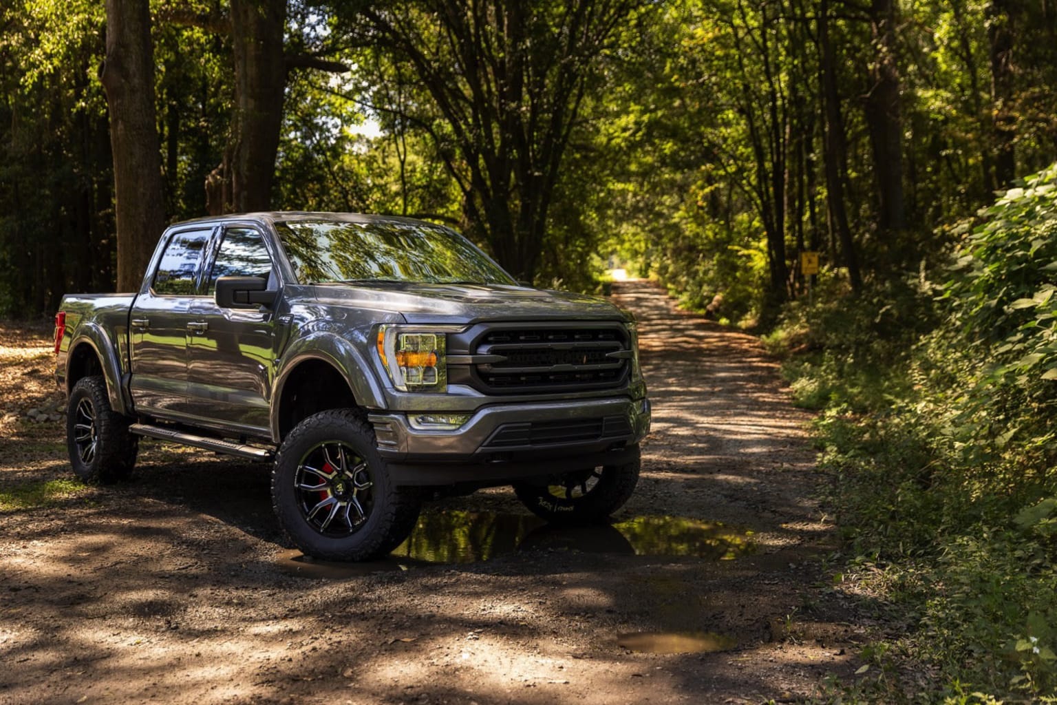 A rugged pickup truck on a dirt path surrounded by lush, verdant foliage in a forest setting.
