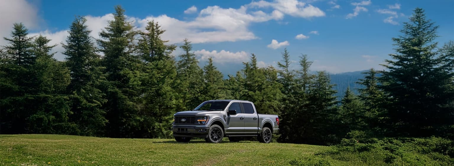 A silver pickup truck parked on a grassy field, surrounded by tall evergreen trees and a clear blue sky with fluffy white clouds.