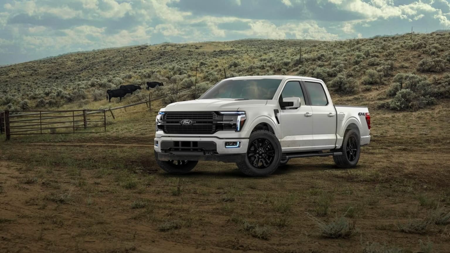 A white pickup truck in a grassy field with rolling hills and a few cows in the background.